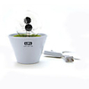 220V Fireworks Night Lights - Sunflower
