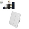 220VAC Wifi Switch European Standard Voice Control App Remote Control Button Control