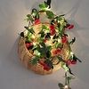 2.2m String Lights 20 LEDs 1 set Warm White Christmas New Year
