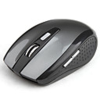 2.4GHz Wireless USB 800DPI/1600DPI Optical Performance Mouse (Black)