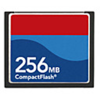 256MB OEM CompactFlash/CF Memory Card