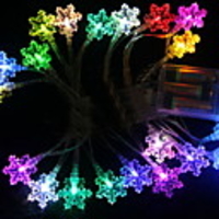 2.5M 20 Heads Seven Colors Snowflake LED String Light (Use Battery)(CIS-84013)