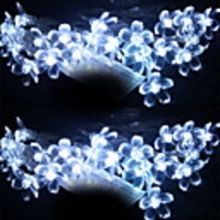 2.5M 20 Heads White Lotus LED String Light (Use Battery)(CIS-84012)