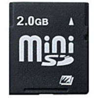 2GB OEM Mini SD Memory Card