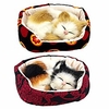 2pcs sleeping cat in sofa doll toy,  mini kitten in pet pad decor for office desk hand toy gift for kids boys girls