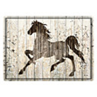 3D Digital Print Nonslip Doormat Indoor Door Mats Horse Print Floor Mats Entry Way Welcome Doormats Bath Pad for Kitchen Bathroom Home Decor