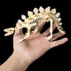 3D Puzzle Dinosaur Fossil Dinosaur Figure Dinosaur Animals Adorable Parent-Child Interaction Plastic Child