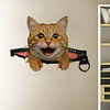 3D Zipper Effect Cute Cat Cartoon Home Background Decoration Can Be Removed Stickers miniinthebox