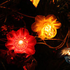 3M 20-LED Flower Shaped Colorful Light String Fairy Lamp for Christmas (220V)