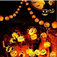 3m 9.8ft 20 LED Halloween String Lights Outdoor String Lights LED Pumpkin 3D Jack o Lantern Lights for Outdoor Decor Steady Flickering