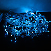 3M Blue 120 LED Christmas Fairy String Light 8 Modes (220V)
