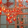 3M/6M LED String Light New Year