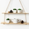3pcs 7cm (h) Succulent Snow Rose Small Potted Plants - Green with White Small Square Pot miniinthebox