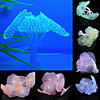 3pcs Sucker Coral Aquarium Artificial Coral Silicone Plant With Sucker Ornament Water Landscape Decor Fish Tank
