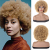 4 Inch Grey Afro Wig for Black Women Lightweight Synthetic Wig Fluffy Afro Curly Hair for Party and Daily High Temperature Fiber Short Afro Kinky Curly Wigs Full Wigs GREY miniinthebox