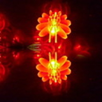 4M 20 LEDs Red Lantern Light String(CIS-84133)