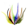50 pcs Fly Tying Materials Feather Fly Fishing
