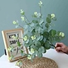 50cm 4 Fork Eucalyptus Money Leaf Flower Wall Wedding Road Dedicated Artificial Flowers 1 Stick