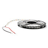 5M White 5050 SMD LED Light