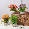 6 Fork Simulation Plant Dandelion Onion Ball Hall Bonsai Potted Pulp Basin Home Furnishings 12x18cm miniinthebox