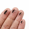 6 pcs Flies Flies Floating Bass Trout Pike Fly Fishing Freshwater Fishing General Fishing Metal