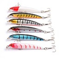6 pcs Minnow Fishing Lures Hard Bait Minnow Lure Packs Floating Sinking Bass Trout Pike Sea Fishing Bait Casting Spinning Plastics / Freshwater Fishing / Bass Fishing / Lure Fishing
