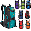 60 L Hiking Backpack Rucksack Breathable Straps - Lightweight Breathable Rain Waterproof Wear Resistance Outdoor Hunting Hiking Climbing Nylon Lake Green Black Purple / Yes