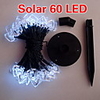 60 LED White Light Solar Christmas Light (CIS-19131-60LED)