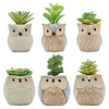 6PCS Home Garden Decoration Artificial Flower Decoration Simulation Succulent Potted Potted Decoration miniinthebox