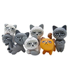6Pcs Lovely Unhappy Angry Cats Action Figure Toy Room Decoration Kids Toy miniinthebox