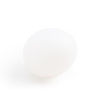 7 Colours Light Hatching Egg