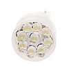 9 Xenon LED White Bulbs(2pcs,  12V)