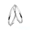 925 Sterling Silver With Platinum Plated Earrings