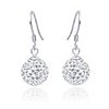 925 Sterling Silver With Platinum Plated Earrings with Shining Rhinestone