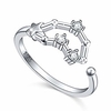 925 sterling silver women cz horoscope 12 constellation astrology zodiac capricorn ring birthday gift, size 7