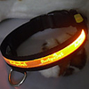 9Protecollar - Foot Print Adjustable Night Safety LED Dog Collar (Assorted Colors)