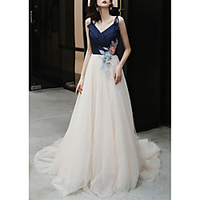 A-Line Color Block Floral Engagement Formal Evening Dress Spaghetti Strap Sleeveless Court Train Tulle with Pleats Appliques 2020 miniinthebox