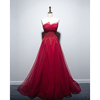 A-Line Empire Floral Engagement Formal Evening Dress Strapless Sleeveless Floor Length Tulle with Appliques 2021 miniinthebox