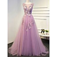 A-Line Floral Empire Engagement Formal Evening Dress Illusion Neck Sleeveless Floor Length Lace Tulle with Pleats Appliques 2020