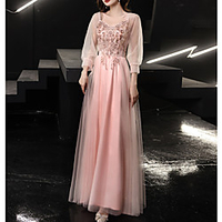 A-Line Glittering Floral Party Wear Prom Dress V Neck Long Sleeve Floor Length Tulle with Sequin Appliques 2021 miniinthebox