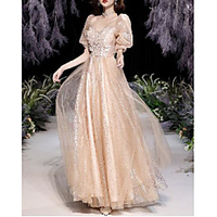 A-Line Luxurious Sparkle Prom Formal Evening Dress V Neck Short Sleeve Floor Length Tulle with Pleats Tier Appliques 2020