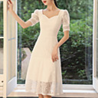 A-Line Minimalist Vintage Homecoming Cocktail Party Dress Scoop Neck Short Sleeve Knee Length Lace with Lace Insert 2020