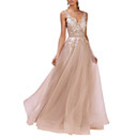 A-Line Open Back Prom Formal Evening Dress Plunging Neck Sleeveless Floor Length Lace Tulle with Pleats Lace Insert 2020