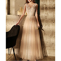 A-Line Sparkle Elegant Wedding Guest Engagement Dress Illusion Neck Short Sleeve Floor Length Tulle with Sequin Tassel Appliques 2021 miniinthebox