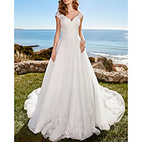 A-Line Wedding Dresses V Neck Court Train Lace Tulle Sleeveless Country Romantic with Appliques 2020