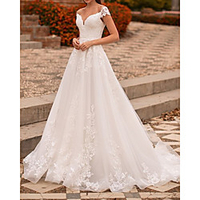 A-Line Wedding Dresses V Neck Sweep / Brush Train Lace Tulle Sleeveless Country Formal Luxurious with Appliques 2020