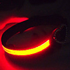 Adjustable LED Dog Collar (40-50cm,  Assorted Colors)