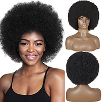 Afro Wig Women Short Fluffy Hair Wigs with Bangs For Black Women Kinky curly Synthetic Hair For Party Dance Cosplay Wigs miniinthebox