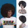 Afro Wigs for Women Short Kinky Curly Wig Fluffy and Soft Layered Short Wigs Temperature Fiber Synthetic Afro Puff Wig miniinthebox