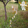 Angel Cupid Creative Wind Chime Ornaments Home Decorations miniinthebox